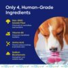 Teef For Life Protektin42 Plant-Derived Prebiotic Dental Powder for Dogs, Daily Dental Care, Clinically-Proven Formula Naturally Fights Plaque and Tartar, Refill Packet with 30 Servings
