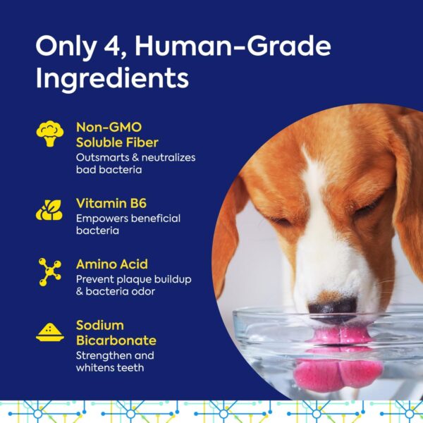 Teef For Life Protektin42 Plant-Derived Prebiotic Dental Powder for Dogs, Daily Dental Care, Clinically-Proven Formula Naturally Fights Plaque and Tartar, Refill Packet with 30 Servings