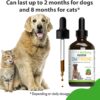 Pet Wellbeing Old Friend for Senior Dogs & Cats- Supports Immune System Health, Joint Mobility, Healthy Energy Levels, Alfalfa, Reishi - Veterinarian-Formulated Herbal Supplement 4 oz (118 ml)