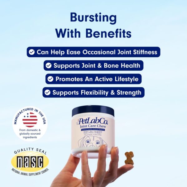 PetLab Co. Joint Care Chews for Dogs - High Levels of Glucosamine, Green Lipped Mussels, Omega 3 and Turmeric - Hip and Joint Supplement for Dogs to Actively Support Mobility