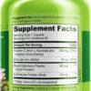 NATURELO Immune Support – Vitamin C, Elderberry, Zinc, Echinacea – Natural Immunity Boost w/Antioxidant, Herbal & Mineral Defense - 60 Vegan Capsules (Pack of 2)