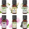 Good Essential Oil Set – 6-Pack Floral Aromatherapy – Gardenia, Honeysuckle, Jasmine, Lilac, Magnolia, Spa – for Candles, Soaps, Perfume, Diffuser, Home Care