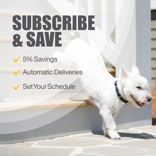 Nutramax Laboratories Dasuquin with MSM Joint Health Supplement for Small to Medium Dogs - With Glucosamine, MSM, Chondroitin, ASU, Boswellia Serrata Extract, and Green Tea Extract, 84 Soft Chews