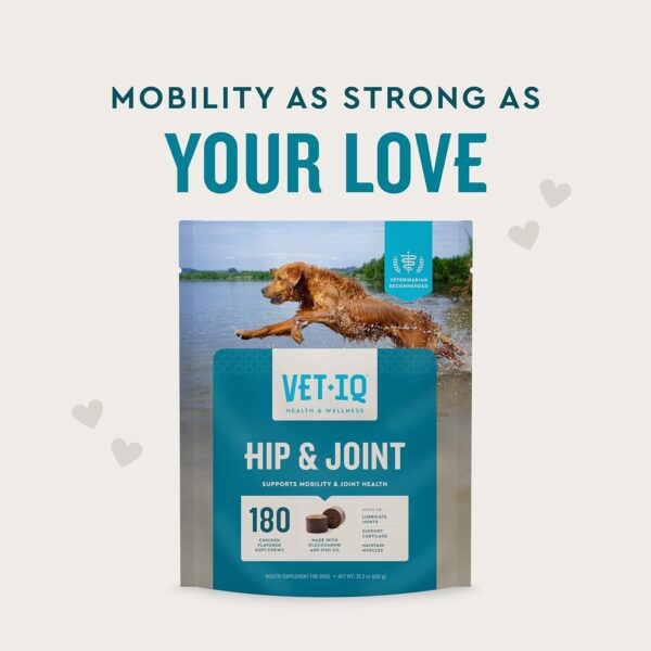 VetIQ Glucosamine Hip & Joint Supplement for Dogs, 180 Soft Chews, Dog Joint Support Supplement with MSM and Krill, Dog Health Supplies Large & Small Breed, Chicken Flavored Chewables