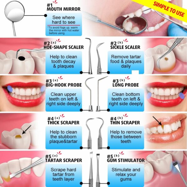 G.CATACC 10 Pack Dental Tools, Professional Plaque Remover for Teeth Cleaning Tools Set, Stainless Steel Hygiene Kit with Dental Picks Tooth Scraper Plaque Tartar Remover Tongue Cleaner - with Case