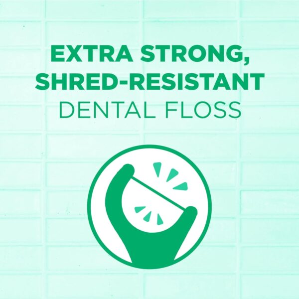 GUM Professional Clean Floss Picks - Extra Strong Shred-Resistant Floss, Easy Grip Handle - Dental Flossers for Adults - Fresh Mint Flavor, 150ct