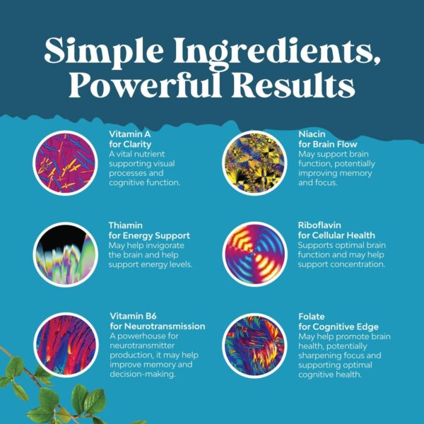 Advanced Nootropic Brain Supplement for Memory and Focus Enhancement - Synergetic Mental Energy and Focus Supplements for Cognitive Enhancement - Vitamins for Mind Memory & Brain Health - 45 Servings