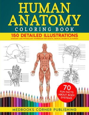 Human Anatomy Coloring Book: 150 Detailed Illustrations & 70 Fascinating Facts in an Anatomy and Physiology Workbook for Adults, Medical Students, & Nurses Focused on Advanced Body Systems Learning