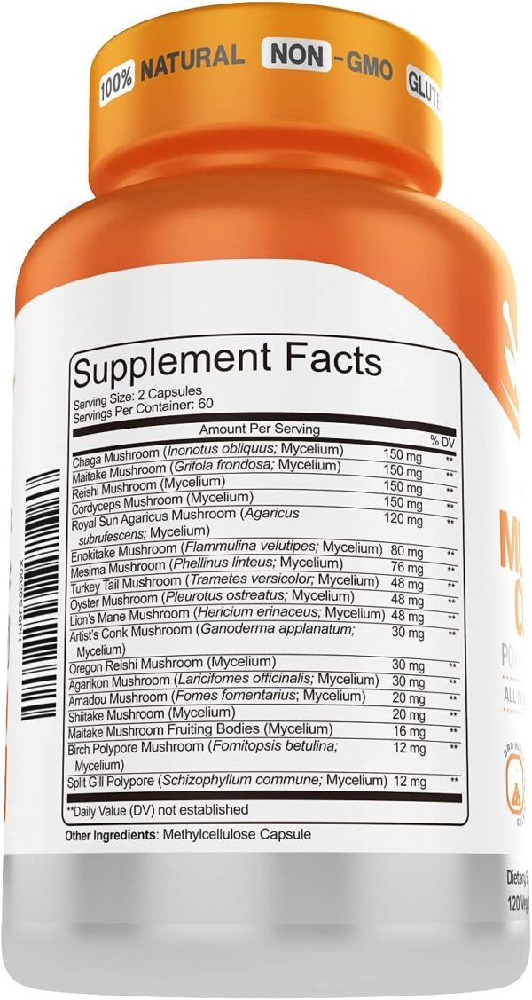 Herbtonics All-in-One Mushroom Supplement for Immune System Support | Nootropic Brain Support Supplement with Lion's Mane, Cordyceps, Reishi | Powerful Mushroom Complex | 120 Vegan Capsules