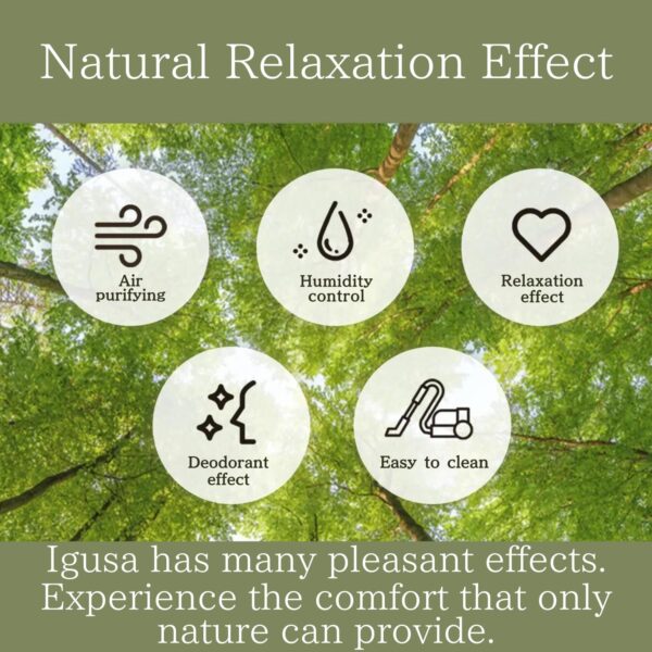 BJDesign Foldable Igusa Tatami Floor Chair - Zen Meditation Cushion and Seat, Dual-Purpose, Eco-Friendly, Handmade with Natural Materials, Easy to Store - Versatile Seating for Adults and Kids