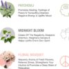 Hem Assorted Incense Sticks Variety 6 Incense Sticks Packs x 15 GMS-Aromatherapy Incense for Calm, Inscents Stick Gift Set, Perfect for Meditation and Relaxation (Hem Floral Series)