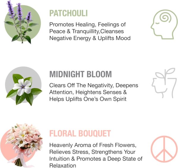Hem Assorted Incense Sticks Variety 6 Incense Sticks Packs x 15 GMS-Aromatherapy Incense for Calm, Inscents Stick Gift Set, Perfect for Meditation and Relaxation (Hem Floral Series)
