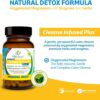 Life Infused Cleanse Infused Plus - Premium Natural Colon Cleanser with Oxygenated Magnesium, Herbs, and Enzymes, Helps Relieve Constipation Gently, Detoxifies Blood, Colon, Liver & Kidneys (90 Caps)