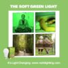 NorbRELIEF Leaf - Soft Green Forest Bathing LED Light Bulb for Meditation, Relaxation, Migraine, Pain Relief and Calm - A19 Standard Base - Patent Pending Non-Drug Pain Relief. Green Light Therapy.