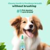 TropiClean Clean Teeth Gel for Dogs | Dog Dental Care | Dog Toothpaste | Breath Freshener | Easy Teeth Cleaning | Made in The USA | 2 oz.