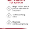 Royal Canin Feline Care Nutrition Dental Care Dry Cat Food, 6 lb bag