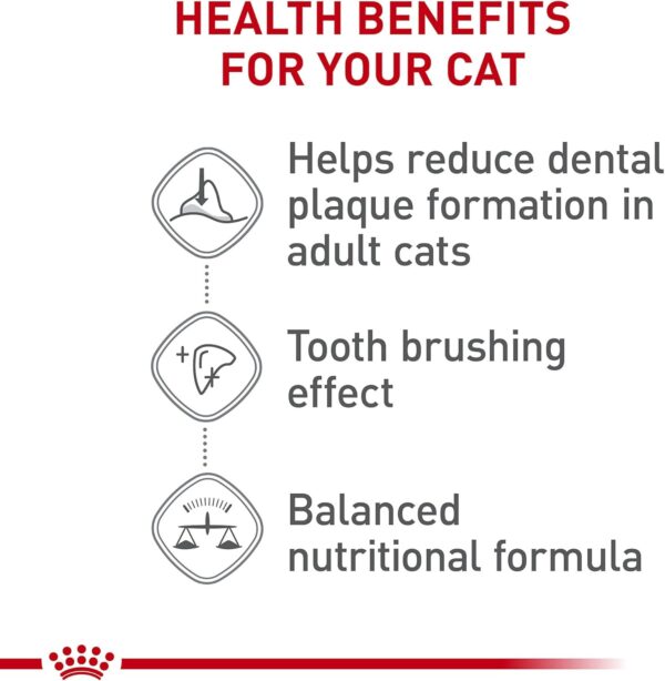 Royal Canin Feline Care Nutrition Dental Care Dry Cat Food, 6 lb bag