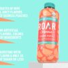ROAR Complete Hydration Organic - Electrolyte Drinks Loaded with Vitamins C, B5, B12 - Non-GMO, Gluten-Free - Georgia Peach - 12 pc