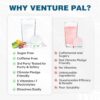 Venture Pal Sugar Free Electrolyte Powder Packets - Liquid Daily IV Hydration Packets | Electrolytes Drink Mix with 5 Vitamins & 7 Electrolytes | Keto Friendly | Non-GMO | Certified Vegan | 16 Sticks