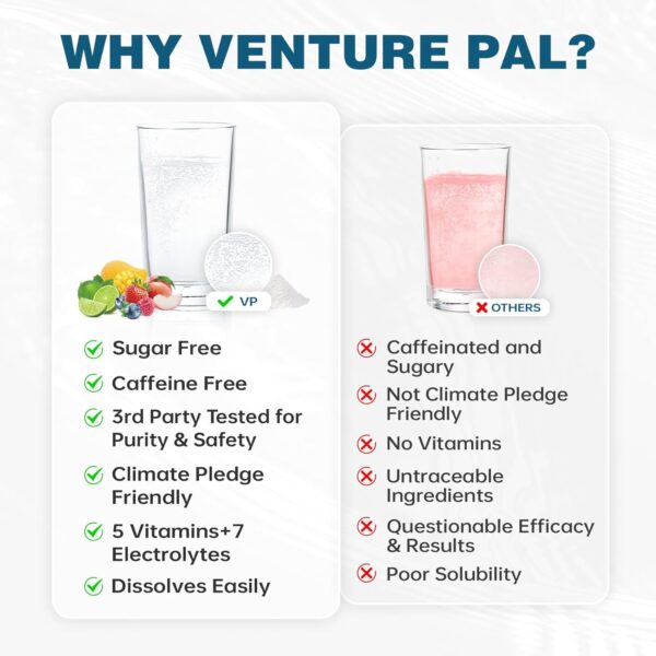 Venture Pal Sugar Free Electrolyte Powder Packets - Liquid Daily IV Hydration Packets | Electrolytes Drink Mix with 5 Vitamins & 7 Electrolytes | Keto Friendly | Non-GMO | Certified Vegan | 16 Sticks
