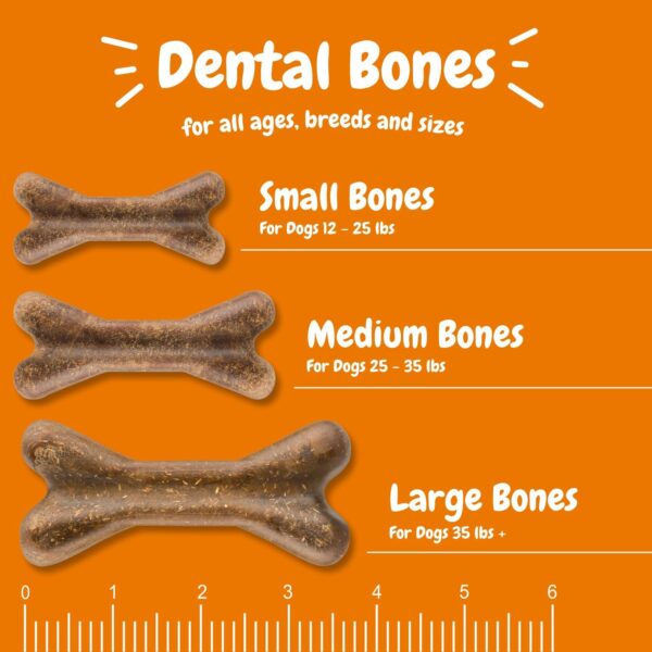 Zesty Paws Dental Bones - Fights Tartar & Plaque - Gum, Teeth & Bone Health - Cinnamon for Dog Breath - Immune, Joint, Gut, Skin & Coat Support - Omega 3 EPA & DHA and Calcium - Small Dogs - 28 ct…