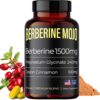 Berberine Supplement 1500mg with Magnesium Glycinate 240mg & Ceylon Cinnamon 100mg - Natural Weight Management, Gut Health, High Potency & Absorption, Made in USA - 60 Tablets