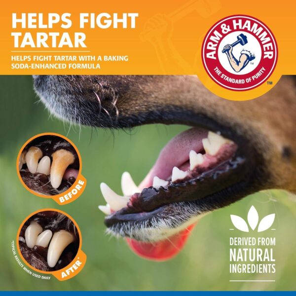 Arm & Hammer for Pets Dental Water Additive for Dogs, Tartar Control | Dog Dental Care Reduces Plaque & Tartar Buildup Without Brushing | Odorless and Flavorless, 16 Fl Ounces - 2 Pack