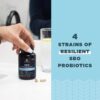 Ancient Nutrition Probiotics, SBO Probiotics Ultimate 50 Billion CFUs*/Serving, Digestive and Immune Support, Gluten Free, Ancient Superfoods Blend, Shrink-Wrapped 60 Capsules (2 Pack)