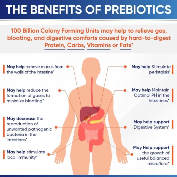 Organic Raw Probiotics 100 Billion CFU, Dr Formulated for Women and Men, Complete Adult Supplement with Prebiotics and Digestive Enzymes; 30 Capsules, Shelf Stable