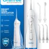 Oralfree Water Dental Flosser Cordless for Teeth Cleaning - 4 Modes Oral Irrigator 300ML Braces Flossers Cleaner, Rechargeable Portable IPX7 Waterproof Powerful Battery for Travel Home