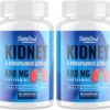 Kidney Support Supplement Cleanse Detox Kidney Chitosan Oligosaccharides Supplement, Niacinamide 600mg, Kidney & Phosphorus Levels, for Adult (2 Bottle)