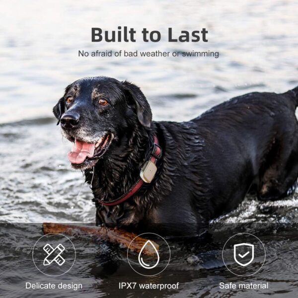 G1-US GPS Pet Tracker, Real-Time Dog Locator & Activity Monitor, 30 Days Ultra Long-Lasting Battery Lightweight Waterproof Dog Finder (White)