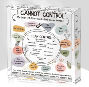 Mental Health Desk Decor - Things I Can Control Decor Sign Therapy Office Acrylic Gifts Psychology Therapist Office Art Decor for Therapist Office School Counselor Living Room Bedroom