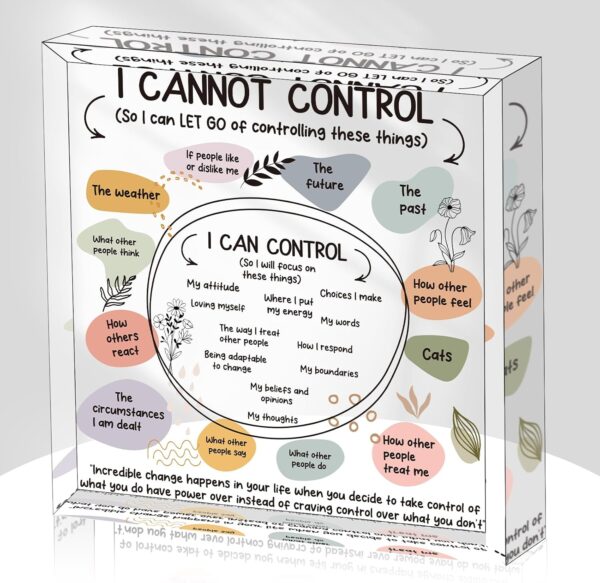 Mental Health Desk Decor - Things I Can Control Decor Sign Therapy Office Acrylic Gifts Psychology Therapist Office Art Decor for Therapist Office School Counselor Living Room Bedroom