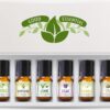 Good Essential Oil Set – 6-Pack Floral Aromatherapy – Gardenia, Honeysuckle, Jasmine, Lilac, Magnolia, Spa – for Candles, Soaps, Perfume, Diffuser, Home Care