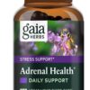 Gaia Herbs Adrenal Health Daily Support - with Ashwagandha, Holy Basil & Schisandra - Herbal Supplement to Help Maintain Healthy Energy and Stress Levels - 60 Liquid Phyto-Capsules (60 Count)