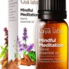Gya Labs Mindful Meditation Essential Oil Blend - 100% Pure Natural Undiluted Meditation Essential Oil - Grounding & Relaxing (0.34 Fl Oz)
