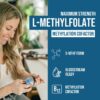 L Methyl Folate 15mg Plus Methyl B12 Cofactor – High Potency, Active 5-MTHF Form - Supports Mood, Methylation, Cognition – Bioactive Forms of Vitamin B9 & B12 (60 Capsules – 60 Servings)