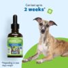 Pet Wellbeing Calming Care for Dogs - Calm Support, Relaxed Nervous System, Emotional Balance, Adaptogens, Ashwagandha, Holy Basil - Veterinarian-Formulated Herbal Supplement 2 fl oz (59 ml)