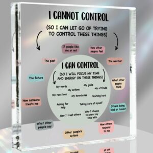 Mental Health Awareness Gifts, Mental Health Decor, Positive Affirmations Psychology Gifts, Therapy Office School Counselor Sign, Things I Can Control Acrylic Gifts, School Counselor Office Must Haves