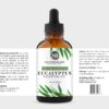 NaturoBliss 100% Pure Natural Undiluted Eucalyptus Essential Oil (4oz) Premium Therapeutic Grade Aromatherapy