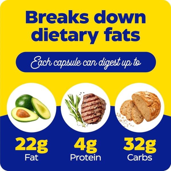 Enzymedica Lypo Gold, Digestive Enzymes for Fat Digestion, Offers Fast Acting Gas & Bloating Relief, 60 Count