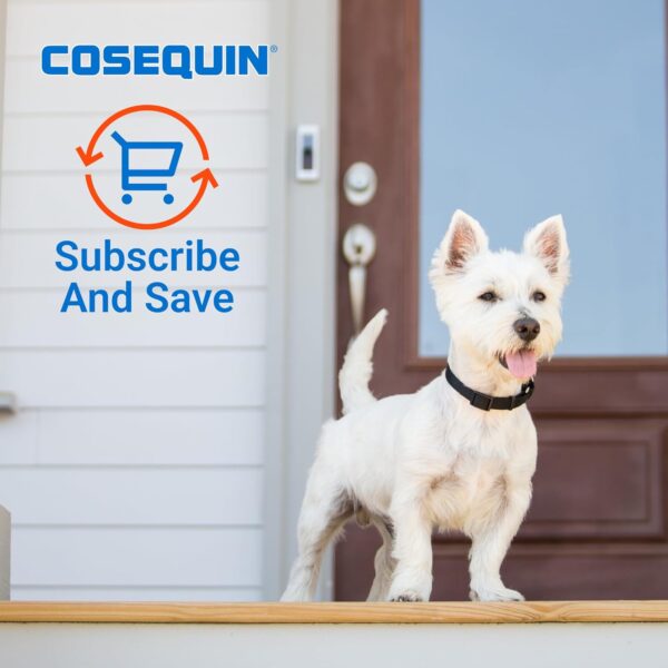 Nutramax Cosequin Minis Maximum Strength Joint Health Supplement - With Glucosamine, Chondroitin, MSM, and Omega-3's, 45 Soft Chews