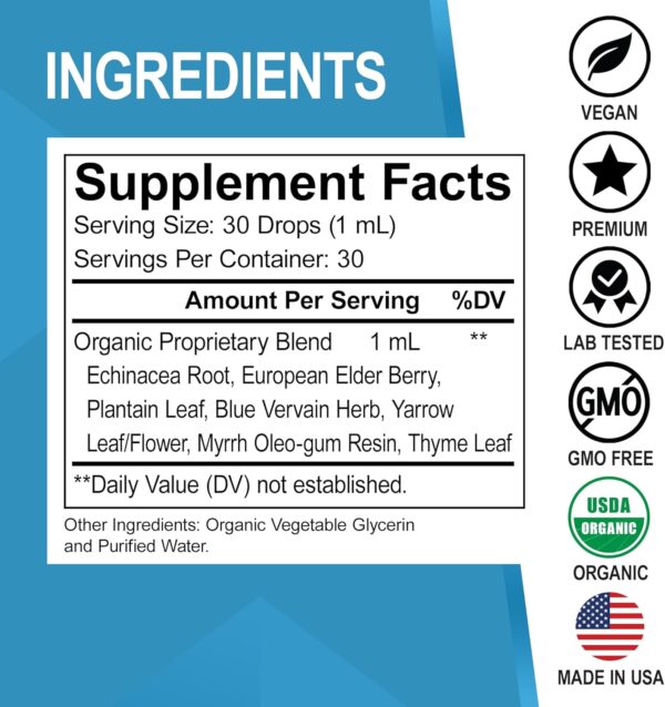 Lymphatic Drainage Supplements Drops - Organic Lymphatic Support Liquid Drops Cleanse with Echinacea for Lymph System Support Supplement, Lymph Node Detox Cleanse System Drainage - 1oz Vegan Non-GMO