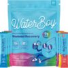 Waterboy Weekend Recovery Sample Pack | 3,200mg Electrolyte Powder Packets | Ginger + L-Theanine + Vitamins | No Sugar, All Natural, Gluten Free | 12 Drink Stick Mixes (Sample Pack)