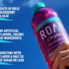 Roar Organic Electrolyte Infusions - USDA Organic - Blueberry Acai - with Antioxidants, B Vitamins, Low-Calorie, Low-Sugar, Low-Carb, Coconut Water Infused Beverage 18 Fl Oz (Pack of 12)