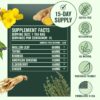 Betterbrand BetterLungs Detox Tea - 15 Herbal Tea Bags - Mullein Leaf, Ginseng, Elderberry, Ginger & Thyme for Lung Cleanse, Congestion Relief, Mucus Detox - Caffeine Free
