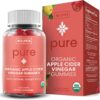 WellPath Pure Organic Apple Cider Vinegar Gummies from The Mother | USDA ACV Gummy with Ginger for Gut Health | Vegan, Non-GMO, 60 Ct