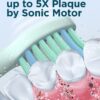 Rtauys M5 Sonic Electric Toothbrush for Adults and Kids - Rechargeable Electric Toothbrush Kids Ages 12+ and Adults with 8 Brush Heads & Travel Case, 120 Days Battery Life - Light Green
