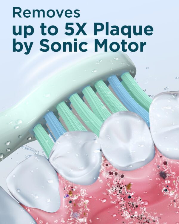Rtauys M5 Sonic Electric Toothbrush for Adults and Kids - Rechargeable Electric Toothbrush Kids Ages 12+ and Adults with 8 Brush Heads & Travel Case, 120 Days Battery Life - Light Green
